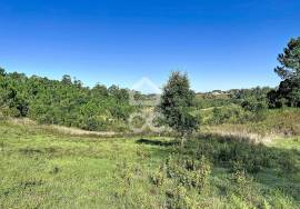 Land Caldas da Rainha