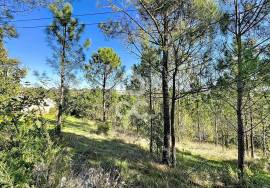 Land Caldas da Rainha