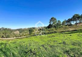 Land Caldas da Rainha