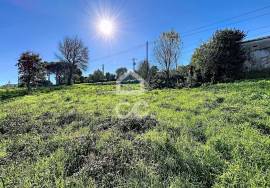 Land Caldas da Rainha