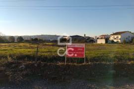 Land Bombarral Delgada