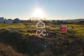 Land Bombarral Delgada