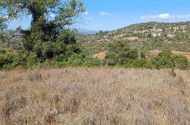10km from Albufeira - Rustic Land , Red Game 10km from Albufeira - Rustic Land , Red Game