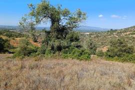 10km from Albufeira - Rustic Land , Red Game 10km from Albufeira - Rustic Land , Red Game