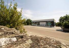 House to Restore - Lajeosa do Dão - Viseu