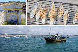 New 3-Bed Villas in Salir do Porto | Silver Coast Portugal