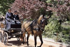 Country villas with pool in Caldas da Rainha | Silver Coast Portugal