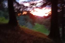 Hush Valley Lodge Estate For Sale In Rio Blanco San Jose Costa