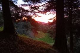 Hush Valley Lodge Estate For Sale In Rio Blanco San Jose Costa