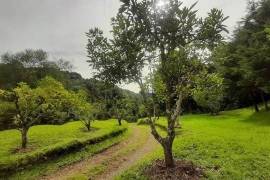 Hush Valley Lodge Estate For Sale In Rio Blanco San Jose Costa