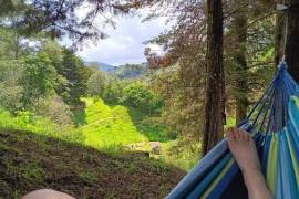 Hush Valley Lodge Estate For Sale In Rio Blanco San Jose Costa