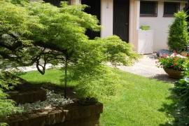 Luxury 8 Bed Estate for Sale In Forli