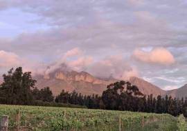 Mont du Toit Wine & Olive Estate For Sale in Wellington, Western Cape, South