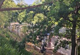 Mont du Toit Wine & Olive Estate For Sale in Wellington, Western Cape, South