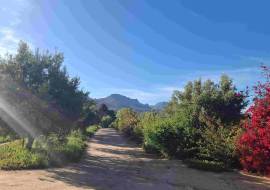 Mont du Toit Wine & Olive Estate For Sale in Wellington, Western Cape, South