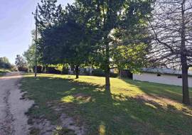 Mont du Toit Wine & Olive Estate For Sale in Wellington, Western Cape, South