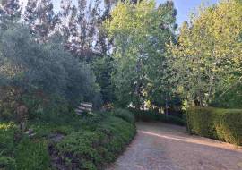 Mont du Toit Wine & Olive Estate For Sale in Wellington, Western Cape, South