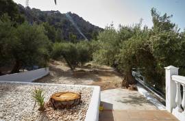 Excellent 7 Bed Country Estate For Sale in La Cerradura Jaen