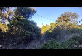 Rustic Land for Sale in Salir – 9,300 m² by the road