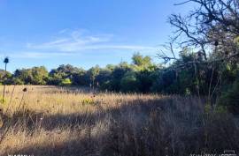 Rustic Land for Sale in Salir – 9,300 m² by the road