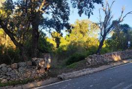 Rustic Land for Sale in Salir – 9,300 m² by the road