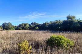 Rustic Land for Sale in Salir – 9,300 m² by the road