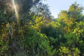 Rustic Land for Sale in Salir – 9,300 m² by the road