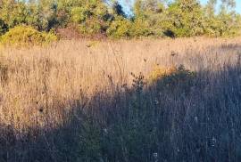 Rustic Land for Sale in Salir – 9,300 m² by the road