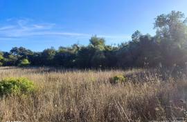 Rustic Land for Sale in Salir – 9,300 m² by the road