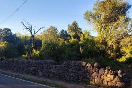 Rustic Land for Sale in Salir – 9,300 m² by the road