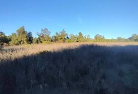 Rustic Land for Sale in Salir – 9,300 m² by the road