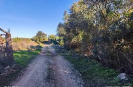 Rustic Land for Sale in Salir – 9,300 m² by the road