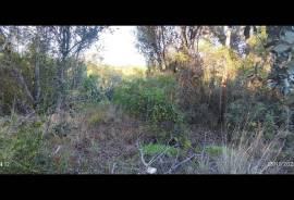 Rustic Land for Sale in Salir – 9,300 m² by the road