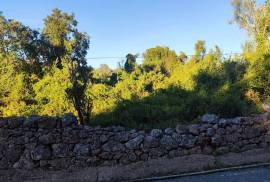 Rustic Land for Sale in Salir – 9,300 m² by the road