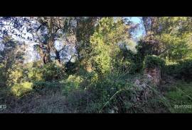 Rustic Land for Sale in Salir – 9,300 m² by the road