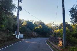 Rustic Land for Sale in Salir – 9,300 m² by the road