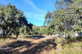 Rustic land with building permission, 12000 m2 next to sports complex in Salir