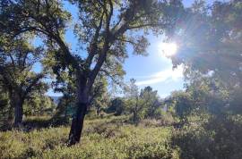 Rustic land with building permission, 12000 m2 next to sports complex in Salir