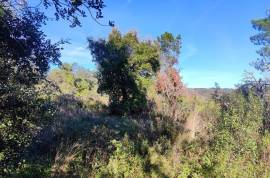 Rustic land with building permission, 12000 m2 next to sports complex in Salir