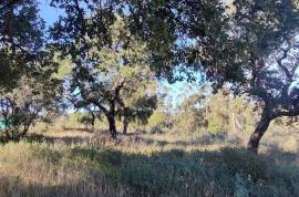 Rustic land with building permission, 12000 m2 next to sports complex in Salir