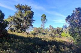 Rustic land with building permission, 12000 m2 next to sports complex in Salir
