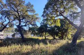 Rustic land with building permission, 12000 m2 next to sports complex in Salir