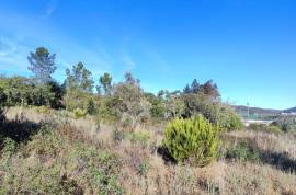 Rustic land with building permission, 12000 m2 next to sports complex in Salir
