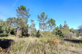 Rustic land with building permission, 12000 m2 next to sports complex in Salir