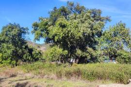 Rustic land with building permission, 12000 m2 next to sports complex in Salir