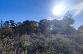 Rustic land with building permission, 12000 m2 next to sports complex in Salir