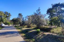 Rustic land with building permission, 12000 m2 next to sports complex in Salir