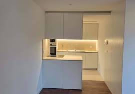 1 bedroom apartment in the Damião de Gois area