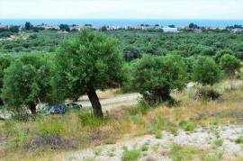 Продажа Земельный участок 5175 m² на Кассандре (Халкидики)