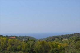 Продажа Земельный участок 7000 m² на Кассандре (Халкидики)